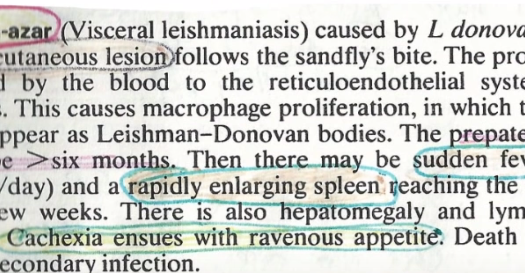 Yes it’s.. A Summary of leishmaniasis based on Oxford Handbook!